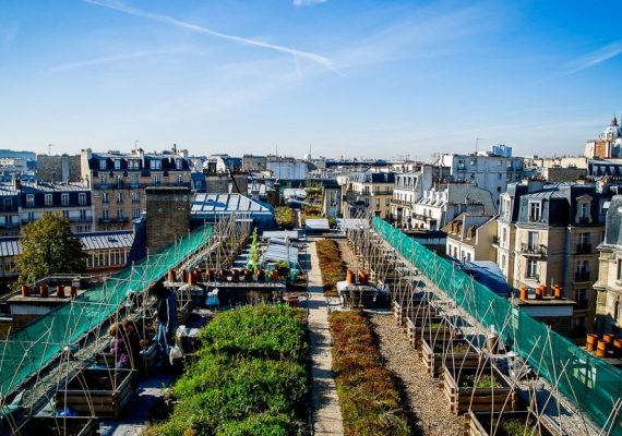 Agriculture urbaine sur les toits de Paris